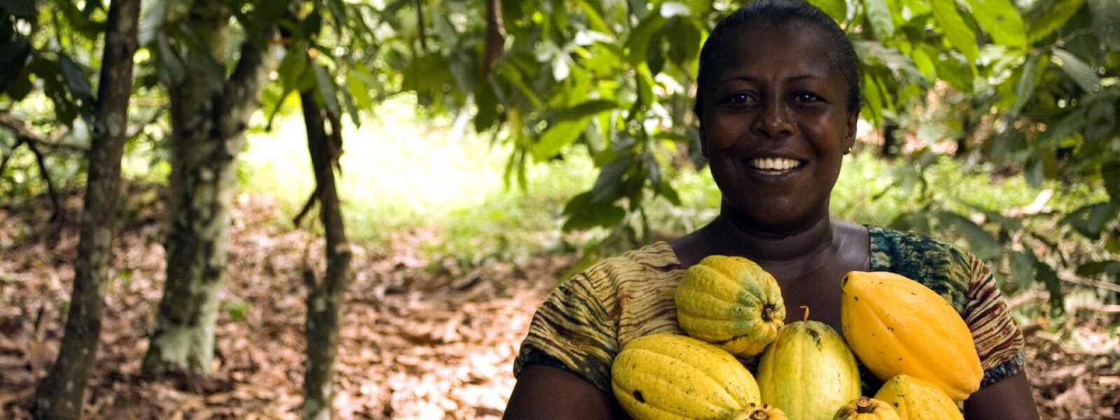 Female farmer smiling while holding a bunch of cocoa fruits