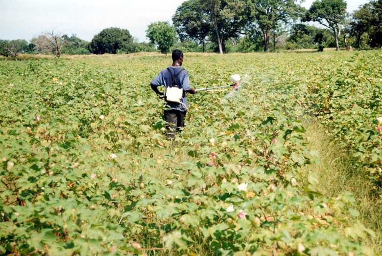 A farmer using a tool in a crop field