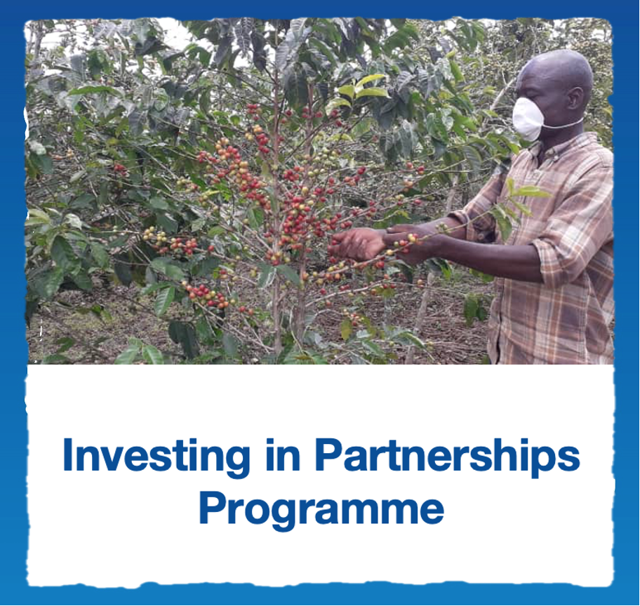 Investing in Partnerships Thumbnail - Business Support Programme 